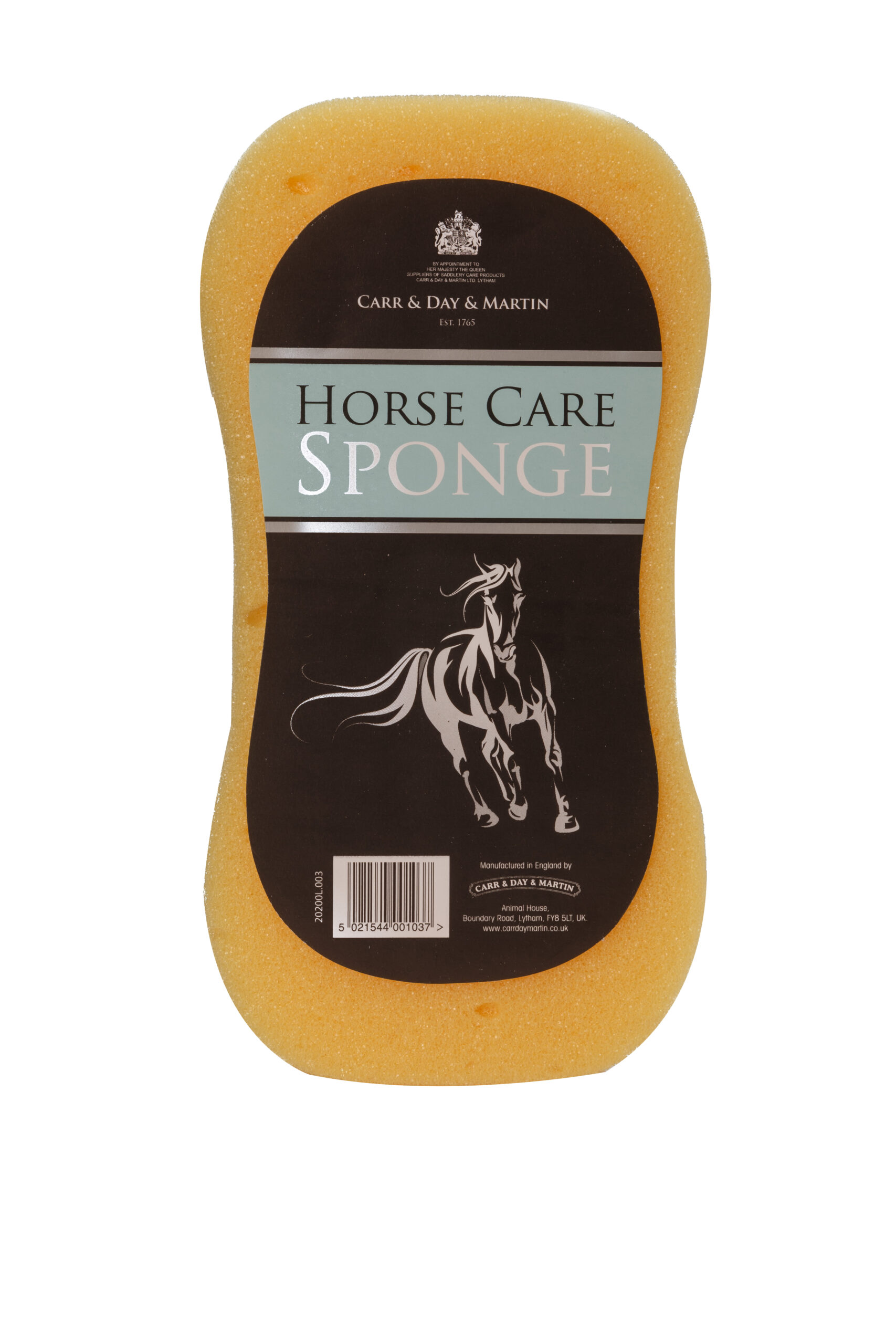 horse care sponge