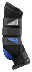 veredus magnetik stalbeschermers achter